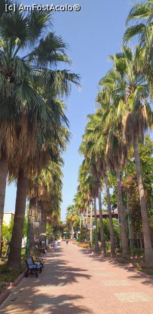 [P27] Aleea principala din Golden Beach. » foto by VasiuM
 - 
<span class="allrVoted glyphicon glyphicon-heart hidden" id="av1189882"></span>
<a class="m-l-10 hidden" id="sv1189882" onclick="voting_Foto_DelVot(,1189882,21529)" role="button">șterge vot <span class="glyphicon glyphicon-remove"></span></a>
<a id="v91189882" class=" c-red"  onclick="voting_Foto_SetVot(1189882)" role="button"><span class="glyphicon glyphicon-heart-empty"></span> <b>LIKE</b> = Votează poza</a> <img class="hidden"  id="f1189882W9" src="/imagini/loader.gif" border="0" /><span class="AjErrMes hidden" id="e1189882ErM"></span>