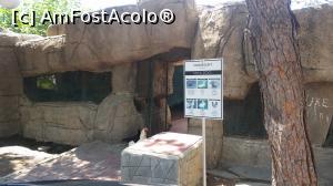 [P05] mini zoo » foto by stefy_a
 - 
<span class="allrVoted glyphicon glyphicon-heart hidden" id="av1083470"></span>
<a class="m-l-10 hidden" id="sv1083470" onclick="voting_Foto_DelVot(,1083470,21529)" role="button">șterge vot <span class="glyphicon glyphicon-remove"></span></a>
<a id="v91083470" class=" c-red"  onclick="voting_Foto_SetVot(1083470)" role="button"><span class="glyphicon glyphicon-heart-empty"></span> <b>LIKE</b> = Votează poza</a> <img class="hidden"  id="f1083470W9" src="/imagini/loader.gif" border="0" /><span class="AjErrMes hidden" id="e1083470ErM"></span>