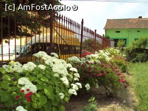 [P32] Curtea bisericii din Bozovici.  » foto by Carmen Ion
 - 
<span class="allrVoted glyphicon glyphicon-heart hidden" id="av774829"></span>
<a class="m-l-10 hidden" id="sv774829" onclick="voting_Foto_DelVot(,774829,21530)" role="button">șterge vot <span class="glyphicon glyphicon-remove"></span></a>
<a id="v9774829" class=" c-red"  onclick="voting_Foto_SetVot(774829)" role="button"><span class="glyphicon glyphicon-heart-empty"></span> <b>LIKE</b> = Votează poza</a> <img class="hidden"  id="f774829W9" src="/imagini/loader.gif" border="0" /><span class="AjErrMes hidden" id="e774829ErM"></span>