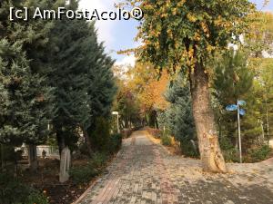 [P30] Cimitrul din Konya » foto by AZE
 - 
<span class="allrVoted glyphicon glyphicon-heart hidden" id="av1139120"></span>
<a class="m-l-10 hidden" id="sv1139120" onclick="voting_Foto_DelVot(,1139120,21544)" role="button">șterge vot <span class="glyphicon glyphicon-remove"></span></a>
<a id="v91139120" class=" c-red"  onclick="voting_Foto_SetVot(1139120)" role="button"><span class="glyphicon glyphicon-heart-empty"></span> <b>LIKE</b> = Votează poza</a> <img class="hidden"  id="f1139120W9" src="/imagini/loader.gif" border="0" /><span class="AjErrMes hidden" id="e1139120ErM"></span>