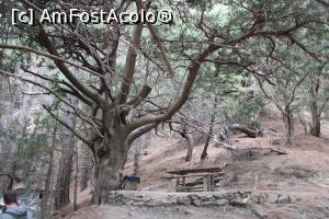 [P12] Creta, Cheile Samaria, Neroutsiko umbrit de arbori seculari » foto by mprofeanu
 - 
<span class="allrVoted glyphicon glyphicon-heart hidden" id="av1300555"></span>
<a class="m-l-10 hidden" id="sv1300555" onclick="voting_Foto_DelVot(,1300555,21551)" role="button">șterge vot <span class="glyphicon glyphicon-remove"></span></a>
<a id="v91300555" class=" c-red"  onclick="voting_Foto_SetVot(1300555)" role="button"><span class="glyphicon glyphicon-heart-empty"></span> <b>LIKE</b> = Votează poza</a> <img class="hidden"  id="f1300555W9" src="/imagini/loader.gif" border="0" /><span class="AjErrMes hidden" id="e1300555ErM"></span>