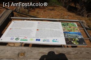 [P38] Creta, Cheile Samaria, Panou Plante aromatice » foto by mprofeanu
 - 
<span class="allrVoted glyphicon glyphicon-heart hidden" id="av1300581"></span>
<a class="m-l-10 hidden" id="sv1300581" onclick="voting_Foto_DelVot(,1300581,21551)" role="button">șterge vot <span class="glyphicon glyphicon-remove"></span></a>
<a id="v91300581" class=" c-red"  onclick="voting_Foto_SetVot(1300581)" role="button"><span class="glyphicon glyphicon-heart-empty"></span> <b>LIKE</b> = Votează poza</a> <img class="hidden"  id="f1300581W9" src="/imagini/loader.gif" border="0" /><span class="AjErrMes hidden" id="e1300581ErM"></span>