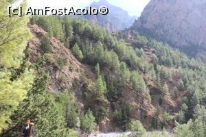 [P39] Creta, Cheile Samaria, Stânci acoperite de arbori... » foto by mprofeanu
 - 
<span class="allrVoted glyphicon glyphicon-heart hidden" id="av1300582"></span>
<a class="m-l-10 hidden" id="sv1300582" onclick="voting_Foto_DelVot(,1300582,21551)" role="button">șterge vot <span class="glyphicon glyphicon-remove"></span></a>
<a id="v91300582" class=" c-red"  onclick="voting_Foto_SetVot(1300582)" role="button"><span class="glyphicon glyphicon-heart-empty"></span> <b>LIKE</b> = Votează poza</a> <img class="hidden"  id="f1300582W9" src="/imagini/loader.gif" border="0" /><span class="AjErrMes hidden" id="e1300582ErM"></span>