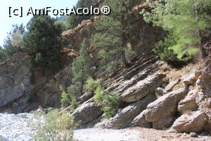 [P41] Creta, Cheile Samaria, Versantul terasat... » foto by mprofeanu
 - 
<span class="allrVoted glyphicon glyphicon-heart hidden" id="av1300584"></span>
<a class="m-l-10 hidden" id="sv1300584" onclick="voting_Foto_DelVot(,1300584,21551)" role="button">șterge vot <span class="glyphicon glyphicon-remove"></span></a>
<a id="v91300584" class=" c-red"  onclick="voting_Foto_SetVot(1300584)" role="button"><span class="glyphicon glyphicon-heart-empty"></span> <b>LIKE</b> = Votează poza</a> <img class="hidden"  id="f1300584W9" src="/imagini/loader.gif" border="0" /><span class="AjErrMes hidden" id="e1300584ErM"></span>