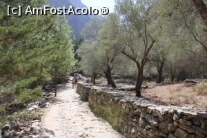 [P47] Creta, Cheile Samaria, Poteca lângă vechiul Sat Samaria dar și vechii măslini... » foto by mprofeanu
 - 
<span class="allrVoted glyphicon glyphicon-heart hidden" id="av1300590"></span>
<a class="m-l-10 hidden" id="sv1300590" onclick="voting_Foto_DelVot(,1300590,21551)" role="button">șterge vot <span class="glyphicon glyphicon-remove"></span></a>
<a id="v91300590" class=" c-red"  onclick="voting_Foto_SetVot(1300590)" role="button"><span class="glyphicon glyphicon-heart-empty"></span> <b>LIKE</b> = Votează poza</a> <img class="hidden"  id="f1300590W9" src="/imagini/loader.gif" border="0" /><span class="AjErrMes hidden" id="e1300590ErM"></span>
