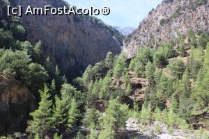[P50] Creta, Cheile Samaria, Suntem încă la înălțime!! » foto by mprofeanu
 - 
<span class="allrVoted glyphicon glyphicon-heart hidden" id="av1300593"></span>
<a class="m-l-10 hidden" id="sv1300593" onclick="voting_Foto_DelVot(,1300593,21551)" role="button">șterge vot <span class="glyphicon glyphicon-remove"></span></a>
<a id="v91300593" class=" c-red"  onclick="voting_Foto_SetVot(1300593)" role="button"><span class="glyphicon glyphicon-heart-empty"></span> <b>LIKE</b> = Votează poza</a> <img class="hidden"  id="f1300593W9" src="/imagini/loader.gif" border="0" /><span class="AjErrMes hidden" id="e1300593ErM"></span>