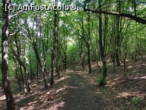 [P24] Am cobor&acirc;t de la cetate &icirc;n circa 25 de minute. Drumeția a durat cam o oră și jumătate. » foto by Floryn81
 - 
<span class="allrVoted glyphicon glyphicon-heart hidden" id="av1210511"></span>
<a class="m-l-10 hidden" id="sv1210511" onclick="voting_Foto_DelVot(,1210511,21553)" role="button">șterge vot <span class="glyphicon glyphicon-remove"></span></a>
<a id="v91210511" class=" c-red"  onclick="voting_Foto_SetVot(1210511)" role="button"><span class="glyphicon glyphicon-heart-empty"></span> <b>LIKE</b> = Votează poza</a> <img class="hidden"  id="f1210511W9" src="/imagini/loader.gif" border="0" /><span class="AjErrMes hidden" id="e1210511ErM"></span>