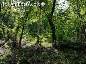[P07] Urcam prin pădurea deasă, &icirc;ncerc&acirc;nd să ne orientăm spre cetate. » foto by Floryn81
 - 
<span class="allrVoted glyphicon glyphicon-heart hidden" id="av1210494"></span>
<a class="m-l-10 hidden" id="sv1210494" onclick="voting_Foto_DelVot(,1210494,21553)" role="button">șterge vot <span class="glyphicon glyphicon-remove"></span></a>
<a id="v91210494" class=" c-red"  onclick="voting_Foto_SetVot(1210494)" role="button"><span class="glyphicon glyphicon-heart-empty"></span> <b>LIKE</b> = Votează poza</a> <img class="hidden"  id="f1210494W9" src="/imagini/loader.gif" border="0" /><span class="AjErrMes hidden" id="e1210494ErM"></span>
