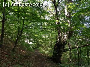 [P08] Eram aproape de pintenul st&acirc;ncos unde a fost construită cetatea. » foto by Floryn81
 - 
<span class="allrVoted glyphicon glyphicon-heart hidden" id="av1210495"></span>
<a class="m-l-10 hidden" id="sv1210495" onclick="voting_Foto_DelVot(,1210495,21553)" role="button">șterge vot <span class="glyphicon glyphicon-remove"></span></a>
<a id="v91210495" class=" c-red"  onclick="voting_Foto_SetVot(1210495)" role="button"><span class="glyphicon glyphicon-heart-empty"></span> <b>LIKE</b> = Votează poza</a> <img class="hidden"  id="f1210495W9" src="/imagini/loader.gif" border="0" /><span class="AjErrMes hidden" id="e1210495ErM"></span>