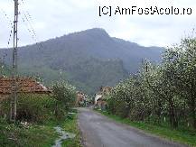 [P13] in drum spre cetate » foto by Half_Evil
 - 
<span class="allrVoted glyphicon glyphicon-heart hidden" id="av69164"></span>
<a class="m-l-10 hidden" id="sv69164" onclick="voting_Foto_DelVot(,69164,21553)" role="button">șterge vot <span class="glyphicon glyphicon-remove"></span></a>
<a id="v969164" class=" c-red"  onclick="voting_Foto_SetVot(69164)" role="button"><span class="glyphicon glyphicon-heart-empty"></span> <b>LIKE</b> = Votează poza</a> <img class="hidden"  id="f69164W9" src="/imagini/loader.gif" border="0" /><span class="AjErrMes hidden" id="e69164ErM"></span>