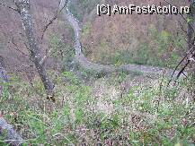 [P07] soseaua serpuind intre munti » foto by Half_Evil
 - 
<span class="allrVoted glyphicon glyphicon-heart hidden" id="av69158"></span>
<a class="m-l-10 hidden" id="sv69158" onclick="voting_Foto_DelVot(,69158,21553)" role="button">șterge vot <span class="glyphicon glyphicon-remove"></span></a>
<a id="v969158" class=" c-red"  onclick="voting_Foto_SetVot(69158)" role="button"><span class="glyphicon glyphicon-heart-empty"></span> <b>LIKE</b> = Votează poza</a> <img class="hidden"  id="f69158W9" src="/imagini/loader.gif" border="0" /><span class="AjErrMes hidden" id="e69158ErM"></span>