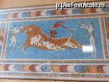 [P01] Fresca săritorilor peste taur.  » foto by Rodel
 - 
<span class="allrVoted glyphicon glyphicon-heart hidden" id="av491320"></span>
<a class="m-l-10 hidden" id="sv491320" onclick="voting_Foto_DelVot(,491320,21555)" role="button">șterge vot <span class="glyphicon glyphicon-remove"></span></a>
<a id="v9491320" class=" c-red"  onclick="voting_Foto_SetVot(491320)" role="button"><span class="glyphicon glyphicon-heart-empty"></span> <b>LIKE</b> = Votează poza</a> <img class="hidden"  id="f491320W9" src="/imagini/loader.gif" border="0" /><span class="AjErrMes hidden" id="e491320ErM"></span>