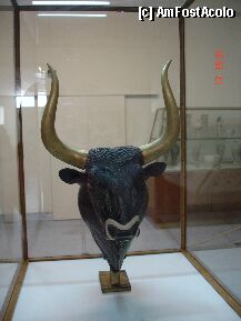[P1x]  -- <small>// FĂRĂ DESCRIERE</small> » foto by tinergetic
 - 
<span class="allrVoted glyphicon glyphicon-heart hidden" id="av4634"></span>
<a class="m-l-10 hidden" id="sv4634" onclick="voting_Foto_DelVot(,4634,21555)" role="button">șterge vot <span class="glyphicon glyphicon-remove"></span></a>
<a id="v94634" class=" c-red"  onclick="voting_Foto_SetVot(4634)" role="button"><span class="glyphicon glyphicon-heart-empty"></span> <b>LIKE</b> = Votează poza</a> <img class="hidden"  id="f4634W9" src="/imagini/loader.gif" border="0" /><span class="AjErrMes hidden" id="e4634ErM"></span>
