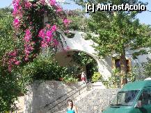 [P02] Casa cretana cu cocos rosu si multe flori » foto by argemi*
 - 
<span class="allrVoted glyphicon glyphicon-heart hidden" id="av268583"></span>
<a class="m-l-10 hidden" id="sv268583" onclick="voting_Foto_DelVot(,268583,21557)" role="button">șterge vot <span class="glyphicon glyphicon-remove"></span></a>
<a id="v9268583" class=" c-red"  onclick="voting_Foto_SetVot(268583)" role="button"><span class="glyphicon glyphicon-heart-empty"></span> <b>LIKE</b> = Votează poza</a> <img class="hidden"  id="f268583W9" src="/imagini/loader.gif" border="0" /><span class="AjErrMes hidden" id="e268583ErM"></span>