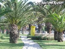 [P21] Rethymno: un parculet cu palmieri pe faleza marii » foto by argemi*
 - 
<span class="allrVoted glyphicon glyphicon-heart hidden" id="av268614"></span>
<a class="m-l-10 hidden" id="sv268614" onclick="voting_Foto_DelVot(,268614,21557)" role="button">șterge vot <span class="glyphicon glyphicon-remove"></span></a>
<a id="v9268614" class=" c-red"  onclick="voting_Foto_SetVot(268614)" role="button"><span class="glyphicon glyphicon-heart-empty"></span> <b>LIKE</b> = Votează poza</a> <img class="hidden"  id="f268614W9" src="/imagini/loader.gif" border="0" /><span class="AjErrMes hidden" id="e268614ErM"></span>