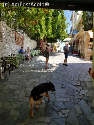 [P03] Am patruns pe sub arcada...  » foto by iulian68
 - 
<span class="allrVoted glyphicon glyphicon-heart hidden" id="av1011704"></span>
<a class="m-l-10 hidden" id="sv1011704" onclick="voting_Foto_DelVot(,1011704,21565)" role="button">șterge vot <span class="glyphicon glyphicon-remove"></span></a>
<a id="v91011704" class=" c-red"  onclick="voting_Foto_SetVot(1011704)" role="button"><span class="glyphicon glyphicon-heart-empty"></span> <b>LIKE</b> = Votează poza</a> <img class="hidden"  id="f1011704W9" src="/imagini/loader.gif" border="0" /><span class="AjErrMes hidden" id="e1011704ErM"></span>