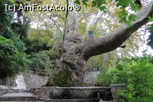 [P17] Creta, „Argyroupoli Water Springs”, Urcăm din parcare pe scări, pe lângă taverne, spre niște falnici paltini aflați sus într-o zonă frumos amenajată » foto by mprofeanu
 - 
<span class="allrVoted glyphicon glyphicon-heart hidden" id="av1287929"></span>
<a class="m-l-10 hidden" id="sv1287929" onclick="voting_Foto_DelVot(,1287929,21565)" role="button">șterge vot <span class="glyphicon glyphicon-remove"></span></a>
<a id="v91287929" class=" c-red"  onclick="voting_Foto_SetVot(1287929)" role="button"><span class="glyphicon glyphicon-heart-empty"></span> <b>LIKE</b> = Votează poza</a> <img class="hidden"  id="f1287929W9" src="/imagini/loader.gif" border="0" /><span class="AjErrMes hidden" id="e1287929ErM"></span>
