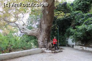 [P18] Creta, „Argyroupoli Water Springs”, Un falnic platan.... » foto by mprofeanu
 - 
<span class="allrVoted glyphicon glyphicon-heart hidden" id="av1287930"></span>
<a class="m-l-10 hidden" id="sv1287930" onclick="voting_Foto_DelVot(,1287930,21565)" role="button">șterge vot <span class="glyphicon glyphicon-remove"></span></a>
<a id="v91287930" class=" c-red"  onclick="voting_Foto_SetVot(1287930)" role="button"><span class="glyphicon glyphicon-heart-empty"></span> <b>LIKE</b> = Votează poza</a> <img class="hidden"  id="f1287930W9" src="/imagini/loader.gif" border="0" /><span class="AjErrMes hidden" id="e1287930ErM"></span>