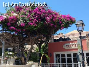 [P02] Rethymnon, o paletă largă de culori frumoase... 
Aici în spate pe străduță este Muzeul de Artă Contemporană. » foto by maryka
 - 
<span class="allrVoted glyphicon glyphicon-heart hidden" id="av1199173"></span>
<a class="m-l-10 hidden" id="sv1199173" onclick="voting_Foto_DelVot(,1199173,21565)" role="button">șterge vot <span class="glyphicon glyphicon-remove"></span></a>
<a id="v91199173" class=" c-red"  onclick="voting_Foto_SetVot(1199173)" role="button"><span class="glyphicon glyphicon-heart-empty"></span> <b>LIKE</b> = Votează poza</a> <img class="hidden"  id="f1199173W9" src="/imagini/loader.gif" border="0" /><span class="AjErrMes hidden" id="e1199173ErM"></span>