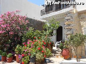 [P12] Sissi: flori, multe flori, așa cum întâlnești în toată Grecia. » foto by Rodel
 - 
<span class="allrVoted glyphicon glyphicon-heart hidden" id="av500812"></span>
<a class="m-l-10 hidden" id="sv500812" onclick="voting_Foto_DelVot(,500812,21568)" role="button">șterge vot <span class="glyphicon glyphicon-remove"></span></a>
<a id="v9500812" class=" c-red"  onclick="voting_Foto_SetVot(500812)" role="button"><span class="glyphicon glyphicon-heart-empty"></span> <b>LIKE</b> = Votează poza</a> <img class="hidden"  id="f500812W9" src="/imagini/loader.gif" border="0" /><span class="AjErrMes hidden" id="e500812ErM"></span>
