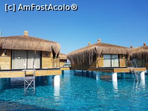 [P42] Casutele pe plaja & piscina Maldive » foto by tripyy
 - 
<span class="allrVoted glyphicon glyphicon-heart hidden" id="av885229"></span>
<a class="m-l-10 hidden" id="sv885229" onclick="voting_Foto_DelVot(,885229,21570)" role="button">șterge vot <span class="glyphicon glyphicon-remove"></span></a>
<a id="v9885229" class=" c-red"  onclick="voting_Foto_SetVot(885229)" role="button"><span class="glyphicon glyphicon-heart-empty"></span> <b>LIKE</b> = Votează poza</a> <img class="hidden"  id="f885229W9" src="/imagini/loader.gif" border="0" /><span class="AjErrMes hidden" id="e885229ErM"></span>