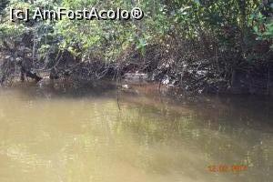 [P14] un prim indiciu: este in fata pietrei » foto by robert
 - 
<span class="allrVoted glyphicon glyphicon-heart hidden" id="av837491"></span>
<a class="m-l-10 hidden" id="sv837491" onclick="voting_Foto_DelVot(,837491,21572)" role="button">șterge vot <span class="glyphicon glyphicon-remove"></span></a>
<a id="v9837491" class=" c-red"  onclick="voting_Foto_SetVot(837491)" role="button"><span class="glyphicon glyphicon-heart-empty"></span> <b>LIKE</b> = Votează poza</a> <img class="hidden"  id="f837491W9" src="/imagini/loader.gif" border="0" /><span class="AjErrMes hidden" id="e837491ErM"></span>