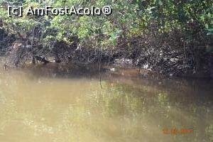 [P15] sigur ca l-ați observat » foto by robert
 - 
<span class="allrVoted glyphicon glyphicon-heart hidden" id="av837492"></span>
<a class="m-l-10 hidden" id="sv837492" onclick="voting_Foto_DelVot(,837492,21572)" role="button">șterge vot <span class="glyphicon glyphicon-remove"></span></a>
<a id="v9837492" class=" c-red"  onclick="voting_Foto_SetVot(837492)" role="button"><span class="glyphicon glyphicon-heart-empty"></span> <b>LIKE</b> = Votează poza</a> <img class="hidden"  id="f837492W9" src="/imagini/loader.gif" border="0" /><span class="AjErrMes hidden" id="e837492ErM"></span>