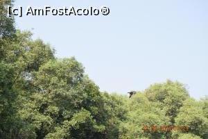 [P21]  -- <small>// FĂRĂ DESCRIERE</small> » foto by robert
 - 
<span class="allrVoted glyphicon glyphicon-heart hidden" id="av837498"></span>
<a class="m-l-10 hidden" id="sv837498" onclick="voting_Foto_DelVot(,837498,21572)" role="button">șterge vot <span class="glyphicon glyphicon-remove"></span></a>
<a id="v9837498" class=" c-red"  onclick="voting_Foto_SetVot(837498)" role="button"><span class="glyphicon glyphicon-heart-empty"></span> <b>LIKE</b> = Votează poza</a> <img class="hidden"  id="f837498W9" src="/imagini/loader.gif" border="0" /><span class="AjErrMes hidden" id="e837498ErM"></span>