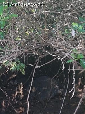 [P27]  -- <small>// FĂRĂ DESCRIERE</small> » foto by robert
 - 
<span class="allrVoted glyphicon glyphicon-heart hidden" id="av837504"></span>
<a class="m-l-10 hidden" id="sv837504" onclick="voting_Foto_DelVot(,837504,21572)" role="button">șterge vot <span class="glyphicon glyphicon-remove"></span></a>
<a id="v9837504" class=" c-red"  onclick="voting_Foto_SetVot(837504)" role="button"><span class="glyphicon glyphicon-heart-empty"></span> <b>LIKE</b> = Votează poza</a> <img class="hidden"  id="f837504W9" src="/imagini/loader.gif" border="0" /><span class="AjErrMes hidden" id="e837504ErM"></span>