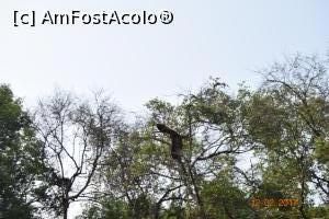 [P08] am avut noroc si de o mica reprezentație » foto by robert
 - 
<span class="allrVoted glyphicon glyphicon-heart hidden" id="av837485"></span>
<a class="m-l-10 hidden" id="sv837485" onclick="voting_Foto_DelVot(,837485,21572)" role="button">șterge vot <span class="glyphicon glyphicon-remove"></span></a>
<a id="v9837485" class=" c-red"  onclick="voting_Foto_SetVot(837485)" role="button"><span class="glyphicon glyphicon-heart-empty"></span> <b>LIKE</b> = Votează poza</a> <img class="hidden"  id="f837485W9" src="/imagini/loader.gif" border="0" /><span class="AjErrMes hidden" id="e837485ErM"></span>