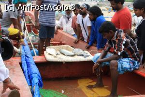 [P06] niste pescari isi ofera marfa direct pe plaja » foto by Pami*
 - 
<span class="allrVoted glyphicon glyphicon-heart hidden" id="av948585"></span>
<a class="m-l-10 hidden" id="sv948585" onclick="voting_Foto_DelVot(,948585,21572)" role="button">șterge vot <span class="glyphicon glyphicon-remove"></span></a>
<a id="v9948585" class=" c-red"  onclick="voting_Foto_SetVot(948585)" role="button"><span class="glyphicon glyphicon-heart-empty"></span> <b>LIKE</b> = Votează poza</a> <img class="hidden"  id="f948585W9" src="/imagini/loader.gif" border="0" /><span class="AjErrMes hidden" id="e948585ErM"></span>