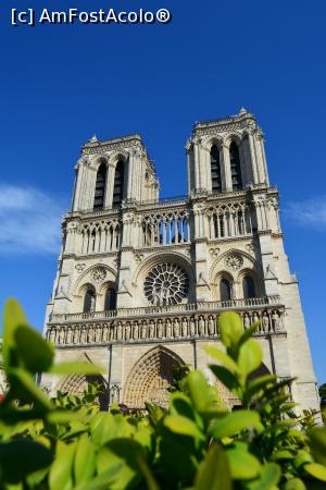 [P09] Notre Dame » foto by iriss
 - 
<span class="allrVoted glyphicon glyphicon-heart hidden" id="av735034"></span>
<a class="m-l-10 hidden" id="sv735034" onclick="voting_Foto_DelVot(,735034,21578)" role="button">șterge vot <span class="glyphicon glyphicon-remove"></span></a>
<a id="v9735034" class=" c-red"  onclick="voting_Foto_SetVot(735034)" role="button"><span class="glyphicon glyphicon-heart-empty"></span> <b>LIKE</b> = Votează poza</a> <img class="hidden"  id="f735034W9" src="/imagini/loader.gif" border="0" /><span class="AjErrMes hidden" id="e735034ErM"></span>