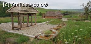 [P20]  -- <small>// FĂRĂ DESCRIERE</small> » foto by Maties Ion
 - 
<span class="allrVoted glyphicon glyphicon-heart hidden" id="av1190086"></span>
<a class="m-l-10 hidden" id="sv1190086" onclick="voting_Foto_DelVot(,1190086,21581)" role="button">șterge vot <span class="glyphicon glyphicon-remove"></span></a>
<a id="v91190086" class=" c-red"  onclick="voting_Foto_SetVot(1190086)" role="button"><span class="glyphicon glyphicon-heart-empty"></span> <b>LIKE</b> = Votează poza</a> <img class="hidden"  id="f1190086W9" src="/imagini/loader.gif" border="0" /><span class="AjErrMes hidden" id="e1190086ErM"></span>