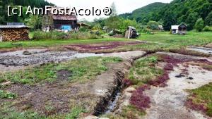 [P10] Detaliu cu sărătura și cu vegetația halofilă (de culoare roșie) de lângă Băile Nadasszeki situate în valea râului Vârghiș.  » foto by Lucien
 - 
<span class="allrVoted glyphicon glyphicon-heart hidden" id="av835473"></span>
<a class="m-l-10 hidden" id="sv835473" onclick="voting_Foto_DelVot(,835473,21581)" role="button">șterge vot <span class="glyphicon glyphicon-remove"></span></a>
<a id="v9835473" class=" c-red"  onclick="voting_Foto_SetVot(835473)" role="button"><span class="glyphicon glyphicon-heart-empty"></span> <b>LIKE</b> = Votează poza</a> <img class="hidden"  id="f835473W9" src="/imagini/loader.gif" border="0" /><span class="AjErrMes hidden" id="e835473ErM"></span>