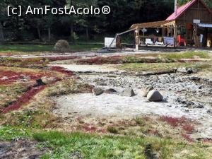 [P12] În prim-plan alt detaliu cu sărătura, vegetația halofilă (roșie) de lângă Băile Nadasszeki (în spate, dreapta)  » foto by Lucien
 - 
<span class="allrVoted glyphicon glyphicon-heart hidden" id="av835475"></span>
<a class="m-l-10 hidden" id="sv835475" onclick="voting_Foto_DelVot(,835475,21581)" role="button">șterge vot <span class="glyphicon glyphicon-remove"></span></a>
<a id="v9835475" class=" c-red"  onclick="voting_Foto_SetVot(835475)" role="button"><span class="glyphicon glyphicon-heart-empty"></span> <b>LIKE</b> = Votează poza</a> <img class="hidden"  id="f835475W9" src="/imagini/loader.gif" border="0" /><span class="AjErrMes hidden" id="e835475ErM"></span>