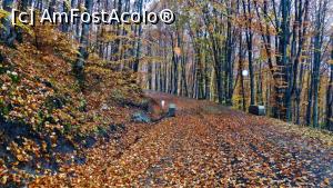 [P22] Drumul asfaltat dintre băi și comuna Lueta pe ploaie la vreme de toamnă » foto by Lucien
 - 
<span class="allrVoted glyphicon glyphicon-heart hidden" id="av835485"></span>
<a class="m-l-10 hidden" id="sv835485" onclick="voting_Foto_DelVot(,835485,21581)" role="button">șterge vot <span class="glyphicon glyphicon-remove"></span></a>
<a id="v9835485" class=" c-red"  onclick="voting_Foto_SetVot(835485)" role="button"><span class="glyphicon glyphicon-heart-empty"></span> <b>LIKE</b> = Votează poza</a> <img class="hidden"  id="f835485W9" src="/imagini/loader.gif" border="0" /><span class="AjErrMes hidden" id="e835485ErM"></span>