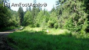 [P01] Forajul H503 în timpul erupției, situat într-o mică poiană între DJ 29 și râul Chirui » foto by Lucien
 - 
<span class="allrVoted glyphicon glyphicon-heart hidden" id="av836214"></span>
<a class="m-l-10 hidden" id="sv836214" onclick="voting_Foto_DelVot(,836214,21581)" role="button">șterge vot <span class="glyphicon glyphicon-remove"></span></a>
<a id="v9836214" class=" c-red"  onclick="voting_Foto_SetVot(836214)" role="button"><span class="glyphicon glyphicon-heart-empty"></span> <b>LIKE</b> = Votează poza</a> <img class="hidden"  id="f836214W9" src="/imagini/loader.gif" border="0" /><span class="AjErrMes hidden" id="e836214ErM"></span>