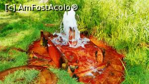 [P10] H503 Chirui în timpul erupției. Depuneri limonitice abundente având colorația specifică » foto by Lucien
 - 
<span class="allrVoted glyphicon glyphicon-heart hidden" id="av836223"></span>
<a class="m-l-10 hidden" id="sv836223" onclick="voting_Foto_DelVot(,836223,21581)" role="button">șterge vot <span class="glyphicon glyphicon-remove"></span></a>
<a id="v9836223" class=" c-red"  onclick="voting_Foto_SetVot(836223)" role="button"><span class="glyphicon glyphicon-heart-empty"></span> <b>LIKE</b> = Votează poza</a> <img class="hidden"  id="f836223W9" src="/imagini/loader.gif" border="0" /><span class="AjErrMes hidden" id="e836223ErM"></span>