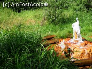 [P02] H503 Chirui în timpul erupției. Debitează apă minerală carbogazoasă cu gust plăcut.  » foto by Lucien
 - 
<span class="allrVoted glyphicon glyphicon-heart hidden" id="av836215"></span>
<a class="m-l-10 hidden" id="sv836215" onclick="voting_Foto_DelVot(,836215,21581)" role="button">șterge vot <span class="glyphicon glyphicon-remove"></span></a>
<a id="v9836215" class=" c-red"  onclick="voting_Foto_SetVot(836215)" role="button"><span class="glyphicon glyphicon-heart-empty"></span> <b>LIKE</b> = Votează poza</a> <img class="hidden"  id="f836215W9" src="/imagini/loader.gif" border="0" /><span class="AjErrMes hidden" id="e836215ErM"></span>