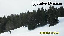 [P44] pe partia Zanoaga pentru sanii.Admiram brazii aceia. » foto by adryana
 - 
<span class="allrVoted glyphicon glyphicon-heart hidden" id="av294398"></span>
<a class="m-l-10 hidden" id="sv294398" onclick="voting_Foto_DelVot(,294398,21589)" role="button">șterge vot <span class="glyphicon glyphicon-remove"></span></a>
<a id="v9294398" class=" c-red"  onclick="voting_Foto_SetVot(294398)" role="button"><span class="glyphicon glyphicon-heart-empty"></span> <b>LIKE</b> = Votează poza</a> <img class="hidden"  id="f294398W9" src="/imagini/loader.gif" border="0" /><span class="AjErrMes hidden" id="e294398ErM"></span>