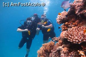[P06] Scuba ???????????? » foto by Roxaa
 - 
<span class="allrVoted glyphicon glyphicon-heart hidden" id="av1117718"></span>
<a class="m-l-10 hidden" id="sv1117718" onclick="voting_Foto_DelVot(,1117718,21590)" role="button">șterge vot <span class="glyphicon glyphicon-remove"></span></a>
<a id="v91117718" class=" c-red"  onclick="voting_Foto_SetVot(1117718)" role="button"><span class="glyphicon glyphicon-heart-empty"></span> <b>LIKE</b> = Votează poza</a> <img class="hidden"  id="f1117718W9" src="/imagini/loader.gif" border="0" /><span class="AjErrMes hidden" id="e1117718ErM"></span>