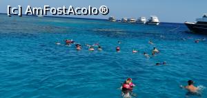 [P47] Snorkeling pentru prima dată în viață.  » foto by Aurici
 - 
<span class="allrVoted glyphicon glyphicon-heart hidden" id="av1155238"></span>
<a class="m-l-10 hidden" id="sv1155238" onclick="voting_Foto_DelVot(,1155238,21590)" role="button">șterge vot <span class="glyphicon glyphicon-remove"></span></a>
<a id="v91155238" class=" c-red"  onclick="voting_Foto_SetVot(1155238)" role="button"><span class="glyphicon glyphicon-heart-empty"></span> <b>LIKE</b> = Votează poza</a> <img class="hidden"  id="f1155238W9" src="/imagini/loader.gif" border="0" /><span class="AjErrMes hidden" id="e1155238ErM"></span>