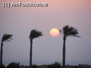 [P21] Rasarit de soare in drum spre Luxor » foto by ioana74
 - 
<span class="allrVoted glyphicon glyphicon-heart hidden" id="av1029032"></span>
<a class="m-l-10 hidden" id="sv1029032" onclick="voting_Foto_DelVot(,1029032,21590)" role="button">șterge vot <span class="glyphicon glyphicon-remove"></span></a>
<a id="v91029032" class=" c-red"  onclick="voting_Foto_SetVot(1029032)" role="button"><span class="glyphicon glyphicon-heart-empty"></span> <b>LIKE</b> = Votează poza</a> <img class="hidden"  id="f1029032W9" src="/imagini/loader.gif" border="0" /><span class="AjErrMes hidden" id="e1029032ErM"></span>