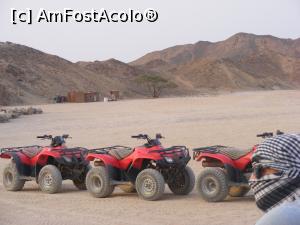 [P06] Safari in desert » foto by ioana74
 - 
<span class="allrVoted glyphicon glyphicon-heart hidden" id="av1029017"></span>
<a class="m-l-10 hidden" id="sv1029017" onclick="voting_Foto_DelVot(,1029017,21590)" role="button">șterge vot <span class="glyphicon glyphicon-remove"></span></a>
<a id="v91029017" class=" c-red"  onclick="voting_Foto_SetVot(1029017)" role="button"><span class="glyphicon glyphicon-heart-empty"></span> <b>LIKE</b> = Votează poza</a> <img class="hidden"  id="f1029017W9" src="/imagini/loader.gif" border="0" /><span class="AjErrMes hidden" id="e1029017ErM"></span>