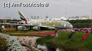 [P26] Miracle Garden » foto by eduardvl
 - 
<span class="allrVoted glyphicon glyphicon-heart hidden" id="av1057741"></span>
<a class="m-l-10 hidden" id="sv1057741" onclick="voting_Foto_DelVot(,1057741,21594)" role="button">șterge vot <span class="glyphicon glyphicon-remove"></span></a>
<a id="v91057741" class=" c-red"  onclick="voting_Foto_SetVot(1057741)" role="button"><span class="glyphicon glyphicon-heart-empty"></span> <b>LIKE</b> = Votează poza</a> <img class="hidden"  id="f1057741W9" src="/imagini/loader.gif" border="0" /><span class="AjErrMes hidden" id="e1057741ErM"></span>