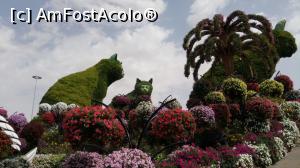 [P27] Miracle Garden » foto by eduardvl
 - 
<span class="allrVoted glyphicon glyphicon-heart hidden" id="av1057742"></span>
<a class="m-l-10 hidden" id="sv1057742" onclick="voting_Foto_DelVot(,1057742,21594)" role="button">șterge vot <span class="glyphicon glyphicon-remove"></span></a>
<a id="v91057742" class=" c-red"  onclick="voting_Foto_SetVot(1057742)" role="button"><span class="glyphicon glyphicon-heart-empty"></span> <b>LIKE</b> = Votează poza</a> <img class="hidden"  id="f1057742W9" src="/imagini/loader.gif" border="0" /><span class="AjErrMes hidden" id="e1057742ErM"></span>