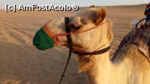 [P39] Safari Desert » foto by eduardvl
 - 
<span class="allrVoted glyphicon glyphicon-heart hidden" id="av1057754"></span>
<a class="m-l-10 hidden" id="sv1057754" onclick="voting_Foto_DelVot(,1057754,21594)" role="button">șterge vot <span class="glyphicon glyphicon-remove"></span></a>
<a id="v91057754" class=" c-red"  onclick="voting_Foto_SetVot(1057754)" role="button"><span class="glyphicon glyphicon-heart-empty"></span> <b>LIKE</b> = Votează poza</a> <img class="hidden"  id="f1057754W9" src="/imagini/loader.gif" border="0" /><span class="AjErrMes hidden" id="e1057754ErM"></span>