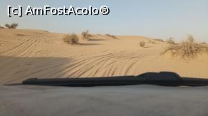 [P41] Safari Desert » foto by eduardvl
 - 
<span class="allrVoted glyphicon glyphicon-heart hidden" id="av1057756"></span>
<a class="m-l-10 hidden" id="sv1057756" onclick="voting_Foto_DelVot(,1057756,21594)" role="button">șterge vot <span class="glyphicon glyphicon-remove"></span></a>
<a id="v91057756" class=" c-red"  onclick="voting_Foto_SetVot(1057756)" role="button"><span class="glyphicon glyphicon-heart-empty"></span> <b>LIKE</b> = Votează poza</a> <img class="hidden"  id="f1057756W9" src="/imagini/loader.gif" border="0" /><span class="AjErrMes hidden" id="e1057756ErM"></span>