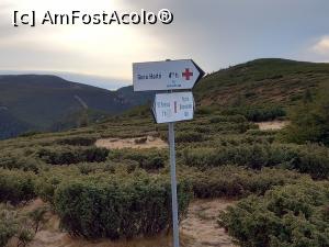 [P30] Părăsim creasta și incepem coborârea » foto by Mika
 - 
<span class="allrVoted glyphicon glyphicon-heart hidden" id="av1264672"></span>
<a class="m-l-10 hidden" id="sv1264672" onclick="voting_Foto_DelVot(,1264672,21597)" role="button">șterge vot <span class="glyphicon glyphicon-remove"></span></a>
<a id="v91264672" class=" c-red"  onclick="voting_Foto_SetVot(1264672)" role="button"><span class="glyphicon glyphicon-heart-empty"></span> <b>LIKE</b> = Votează poza</a> <img class="hidden"  id="f1264672W9" src="/imagini/loader.gif" border="0" /><span class="AjErrMes hidden" id="e1264672ErM"></span>