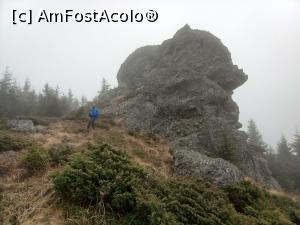 [P15] 12 Apostoli - Probabil Moșu cu Barbă » foto by Mika
 - 
<span class="allrVoted glyphicon glyphicon-heart hidden" id="av1265498"></span>
<a class="m-l-10 hidden" id="sv1265498" onclick="voting_Foto_DelVot(,1265498,21597)" role="button">șterge vot <span class="glyphicon glyphicon-remove"></span></a>
<a id="v91265498" class=" c-red"  onclick="voting_Foto_SetVot(1265498)" role="button"><span class="glyphicon glyphicon-heart-empty"></span> <b>LIKE</b> = Votează poza</a> <img class="hidden"  id="f1265498W9" src="/imagini/loader.gif" border="0" /><span class="AjErrMes hidden" id="e1265498ErM"></span>